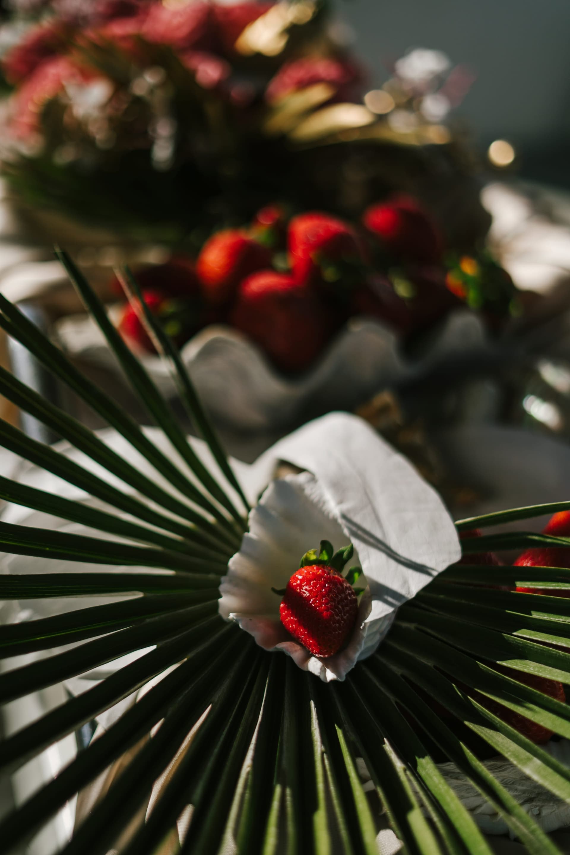 Sun Odyssey Floristik Impression