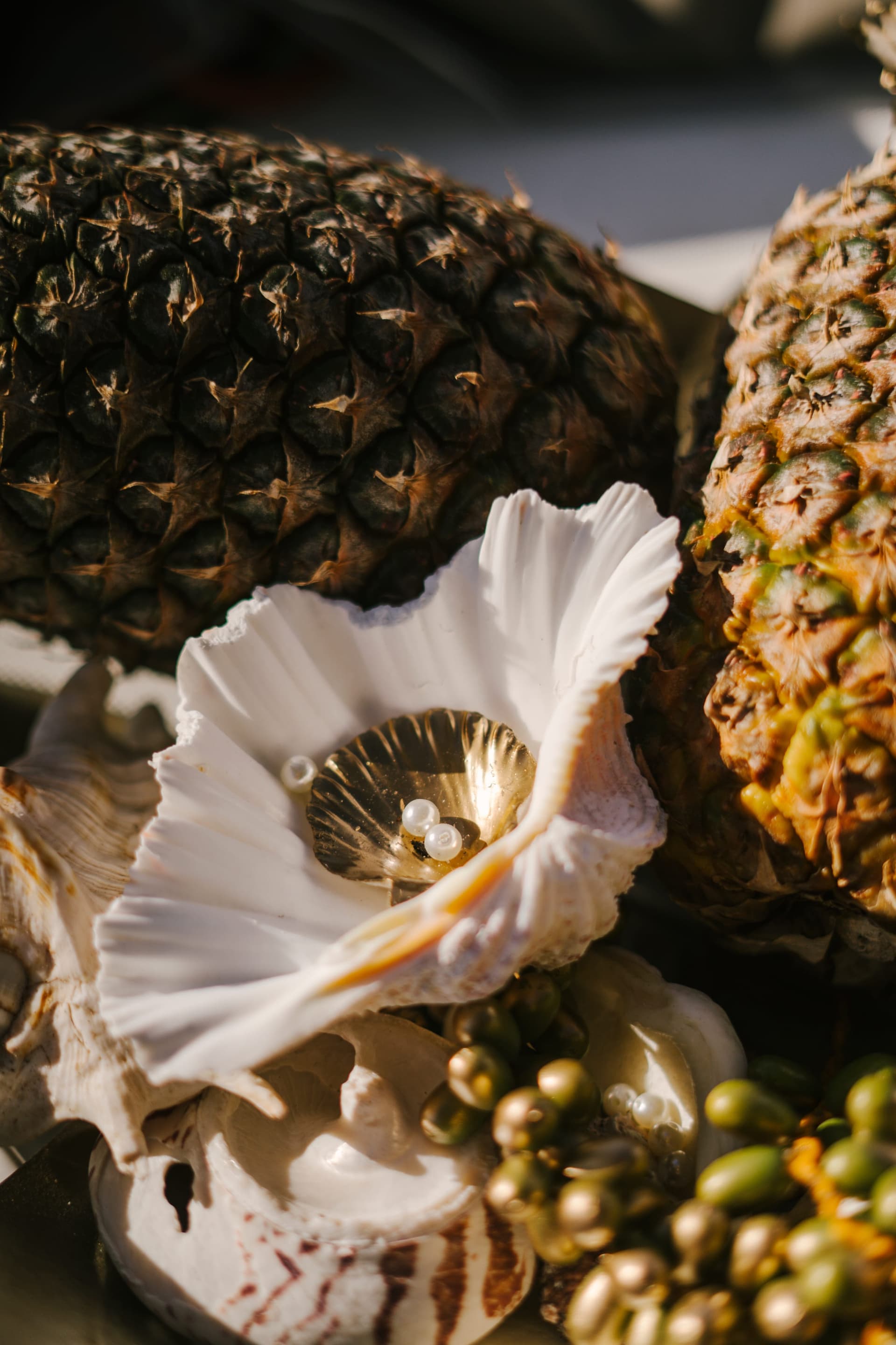 Sun Odyssey Floristik Impression