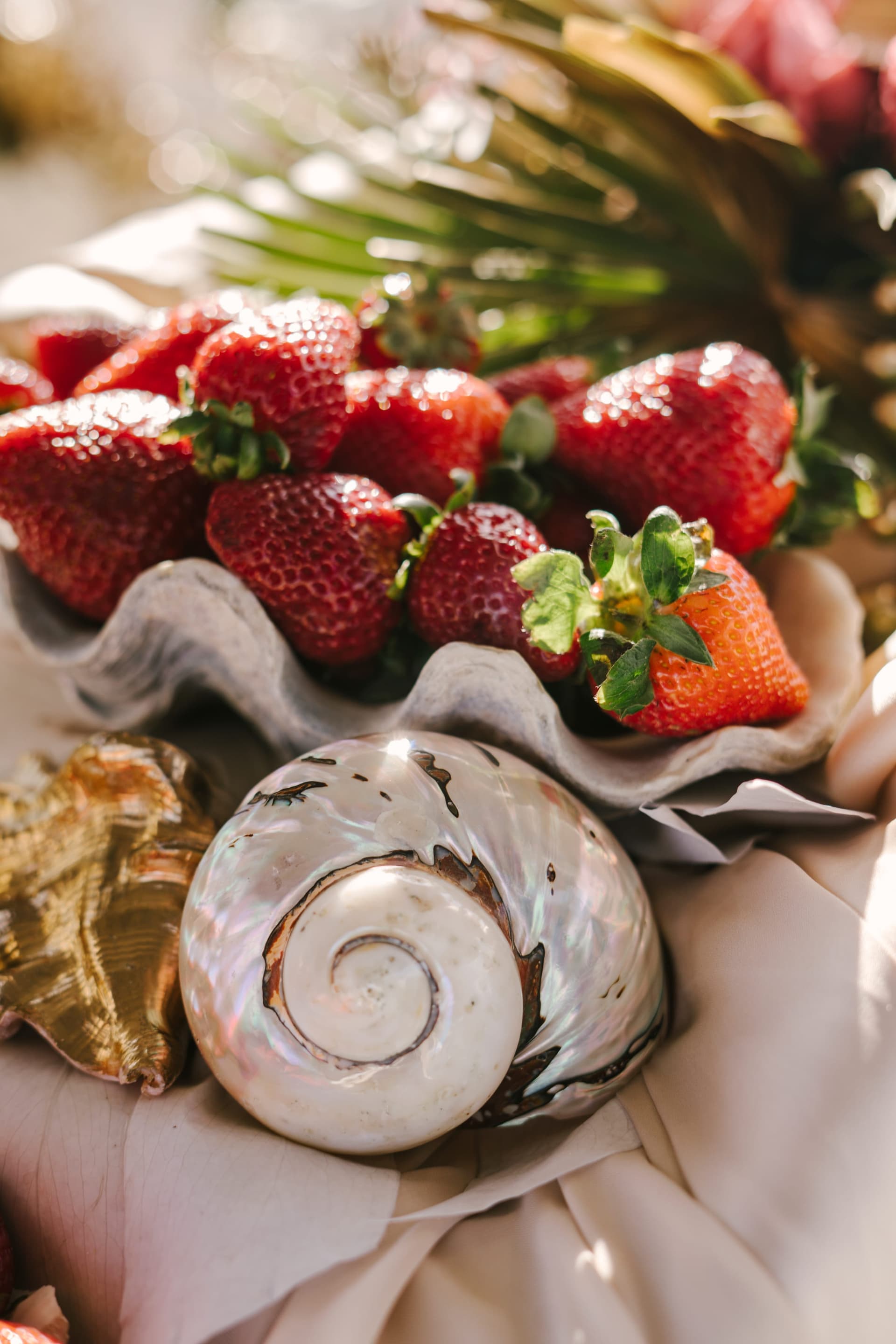 Sun Odyssey Floristik Impression