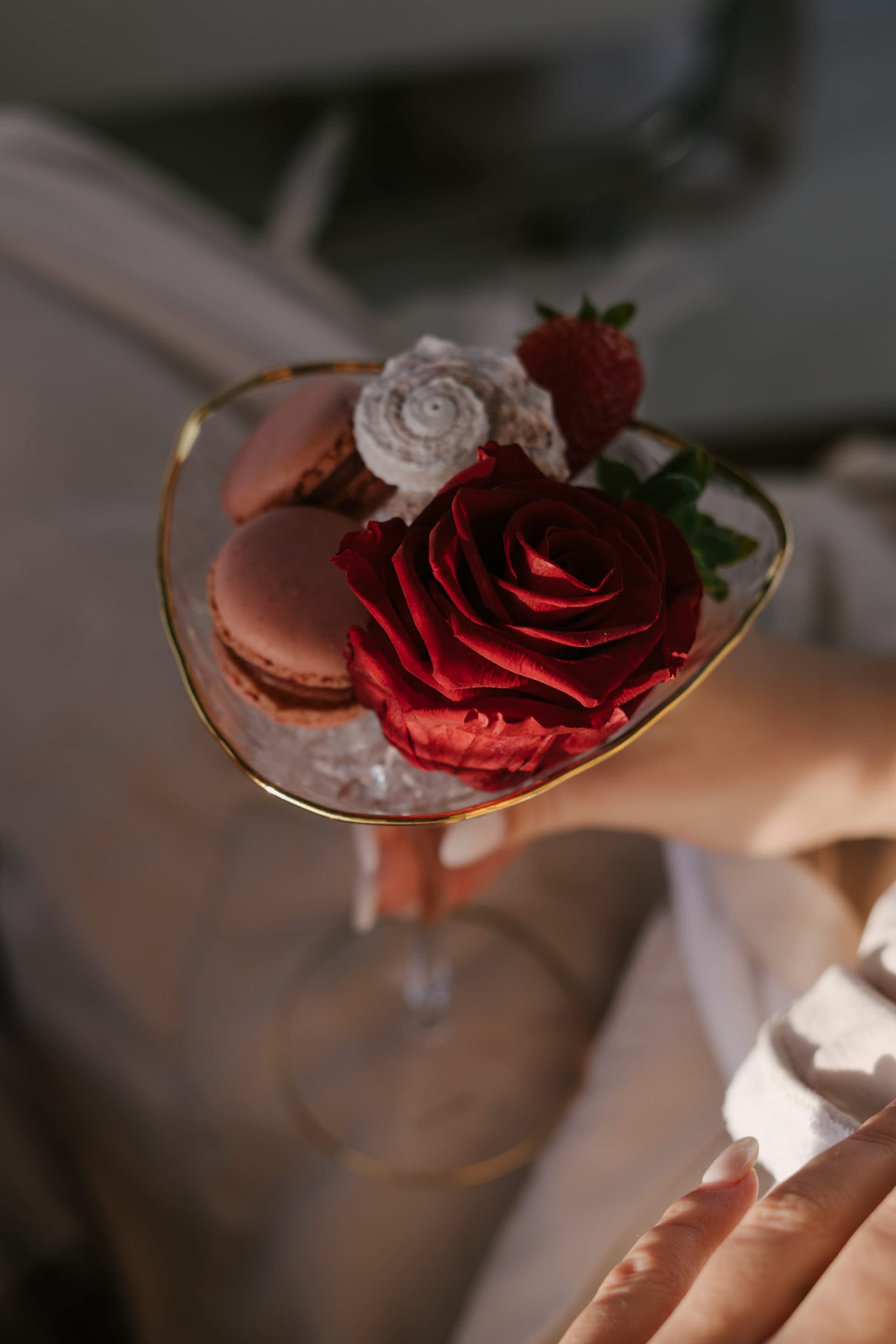 Sun Odyssey Floristik Impression